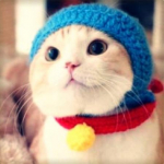 red_karuさんのプロフィール画像