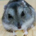 えりぃ