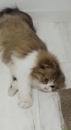 ゆん