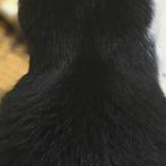あずちゃん