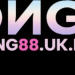 hong88uknet