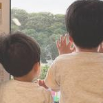 かとれあ