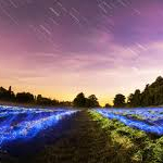 phuchinh03さんのプロフィール画像