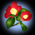 蘭さんのプロフィール画像