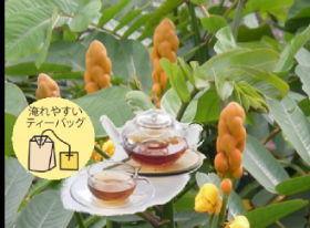「美健麗茶（株式会社グロースジャパン）」の商品画像の3枚目