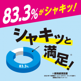 「シャキッシュ 眠気ふっ飛ぶ爽快シート 10枚入（株式会社マックス）」の商品画像の3枚目