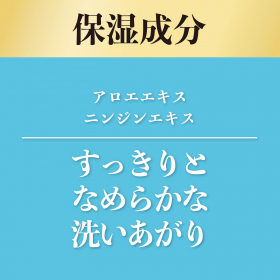 「アレルジーナ　抗ヒスタミン成分配合　ボディソープ　液体タイプ　本体（株式会社マックス）」の商品画像の4枚目