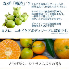 「柿のさち　KnS　薬用柿渋ボディソープ　450mL（株式会社マックス）」の商品画像の4枚目