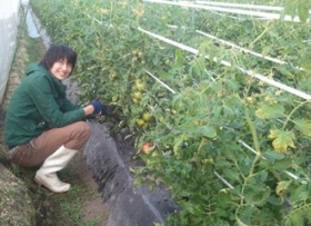 「熊本県産ドライトマト ラ・トマト 15g（九州ムラコレ市場）」の商品画像の2枚目