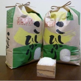 「H24年産新米　　産地直送　チカラの米(白米:5kg×2袋)（九州ムラコレ市場）」の商品画像の1枚目