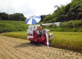 「H24年産新米　　産地直送　チカラの米(白米:5kg×2袋)（九州ムラコレ市場）」の商品画像の2枚目