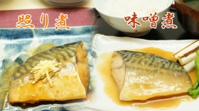 「レトルトさば煮魚セット(2種類×各5)（株式会社宝幸（ほうこう）／日本ハムグループ）」の商品画像