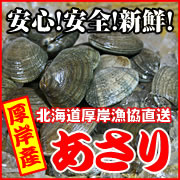 厚岸漁協直送！北海道厚岸産あさり　の商品画像