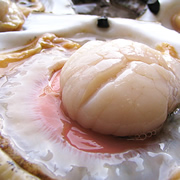 貝柱が何と”直径6ｃｍも！”日本一大きい！北海道産殻付ホタテ（お刺身用） 　の口コミ（クチコミ）情報の商品写真