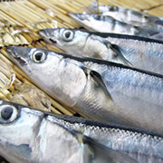 鮪のトロに匹敵する脂のり！釧路直送！朝獲れ「お刺身用」トロ秋刀魚の商品画像