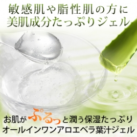 アロエベラ葉汁ジェル　100g　≪詰替え用≫の商品画像