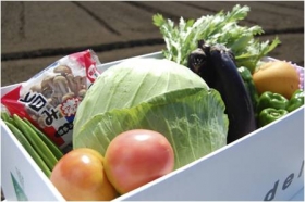 「九州野菜：8品セット定期便（株式会社マンパワープラント）」の商品画像の1枚目