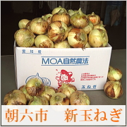 「自然農法玉ねぎ　4kg(朝六市)愛知県（ふるさと21株式会社）」の商品画像