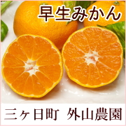 「三ケ日早生ミカン　訳あり5kg(外山農園)送料無料（ふるさと21株式会社）」の商品画像の1枚目