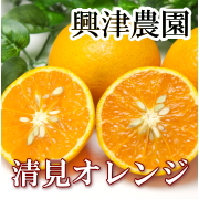 「清見オレンジ　サイズ混合10kg(興津農園)（ふるさと21株式会社）」の商品画像の1枚目