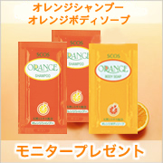 ☆オレンジシャンプーサンプル2包とオレンジボディソープ1包をプレゼント☆の商品画像