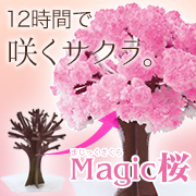 「マジック桜（株式会社OTOGINO）」の商品画像の1枚目