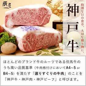 「神戸牛ハンバーグ デミソース仕立て（冷凍 湯せんタイプ）（有限会社辰屋）」の商品画像の2枚目