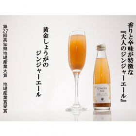 「はるのてらす 黄金しょうがのジンジャーエール 有限会社スタジオオカムラ（株式会社ふるさとサービス）」の商品画像の3枚目