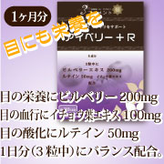 「アイベリー＋R（株式会社ナチュラルウィン）」の商品画像