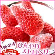使い方自由自在！ひんやりストロベリー★冷凍イチゴの商品画像