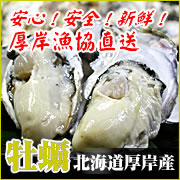 厚岸漁協直送　北海道厚岸産　生牡蠣　LLサイズの口コミ（クチコミ）情報の商品写真