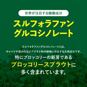 「スルフォラファン肝嬉サポート（62粒入り）（株式会社エクセレントメディカル）」の商品画像の3枚目