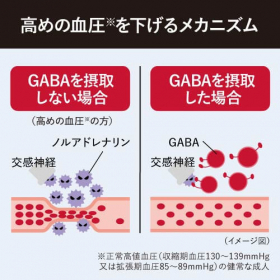 「ギャバタス（62粒入り）（株式会社エクセレントメディカル）」の商品画像の3枚目