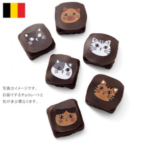 「幸福のチョコレート　チョコフィーノ　ねこチョコ（株式会社フェリシモ）」の商品画像