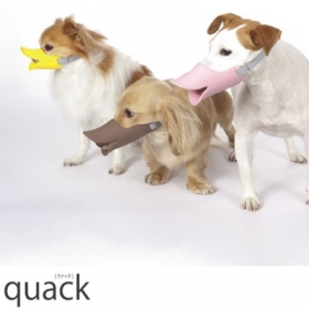 「OPPO quack（株式会社テラモト）」の商品画像