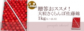 「贈答さくらんぼ山形産佐藤錦ばら１ｋｇ（アドオフィスブロードビーンズ　まめ印屋）」の商品画像の4枚目