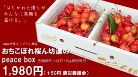 「さくらんぼ佐藤錦おちこぼれ桜ん坊達の『Ｐeace Box』（アドオフィスブロードビーンズ　まめ印屋）」の商品画像の4枚目