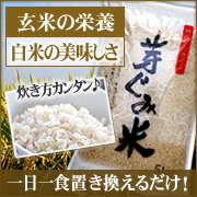 「特殊三分搗き米　芽ぐみ米（有限会社ソォーイ）」の商品画像