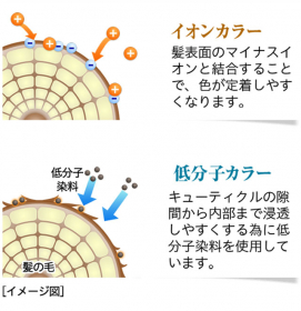 「毎日洗いながら白髪を美しく染める『ソワニティー カラーシャンプー』（株式会社ナチュラルガーデン）」の商品画像の3枚目