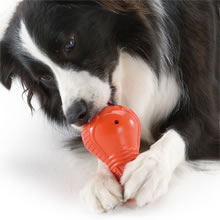 「リッチェル　犬用 “知遊玩具” ビジーバディ（株式会社リッチェル）」の商品画像の1枚目
