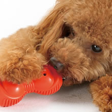 「リッチェル　犬用 “知遊玩具” ビジーバディ（株式会社リッチェル）」の商品画像の2枚目