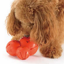 「リッチェル　犬用 “知遊玩具” ビジーバディ（株式会社リッチェル）」の商品画像の3枚目