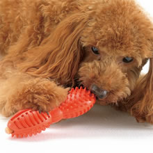 「リッチェル　犬用 “知遊玩具” ビジーバディ（株式会社リッチェル）」の商品画像の4枚目