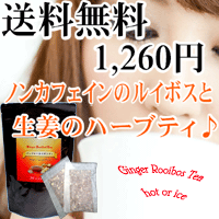 ジンジャールイボスティ　2.5g×20袋の口コミ（クチコミ）情報の商品写真