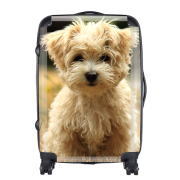 「KOOLLOOK・スーツケース（オプティマルライフ株式会社）」の商品画像