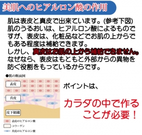 「【 ヒアルロン酸 ＆ コラーゲン 】カラダの中からサポート！（香林製薬株式会社）」の商品画像の4枚目