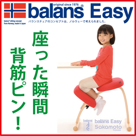 「sakamoto houseバランスチェア・イージー（株式会社プロダクトマーケッティングサービス）」の商品画像の1枚目