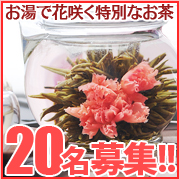 カーネーションの花咲く魔法のお茶▼フラワーティーギフトセットの商品画像